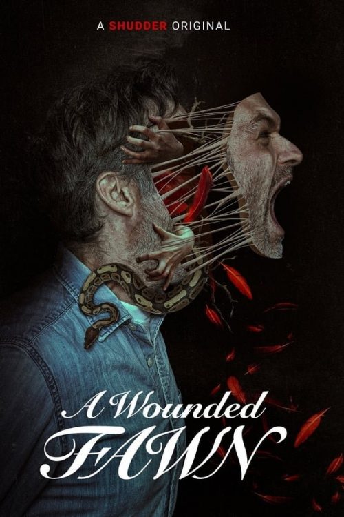 AWF_ShudderPoster AWF_ShudderPoster
